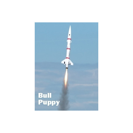 Public Missiles Bull Puppy
